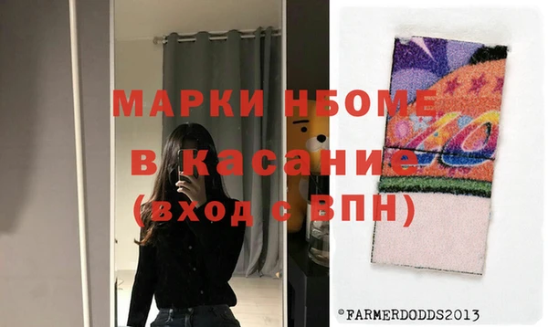 шишки Верея