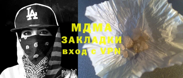 шишки Верея