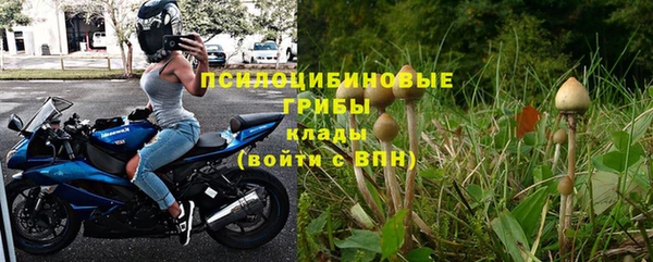 шишки Верея