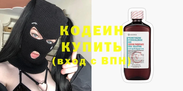 шишки Верея