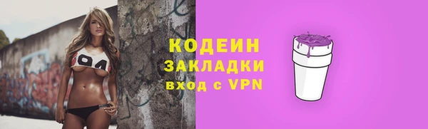 шишки Верея