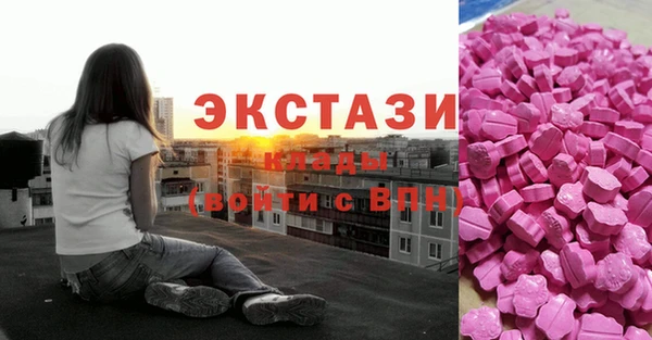 шишки Верея