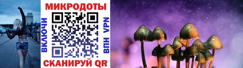 Галлюциногенные грибы Psilocybine cubensis  Торопец 
